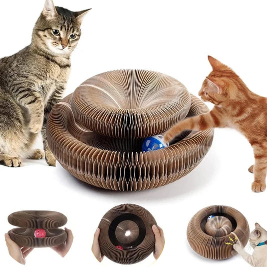 Organ Cat Scratcher – The Ultimate Scratching and Play Toy for Cats